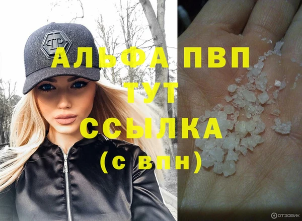 СК Медногорск