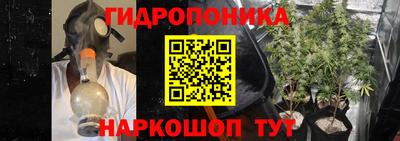 амф Гусь-Хрустальный