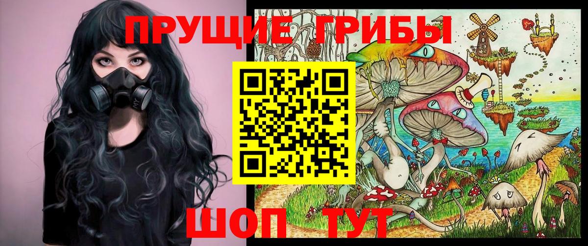 Псилоцибиновые грибы Psilocybine cubensis  Вход с VPN  хочу наркоту  Галлюциногенные грибы мицелий  Людиново 