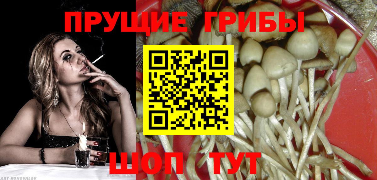 Псилоцибиновые грибы GOLDEN TEACHER Людиново