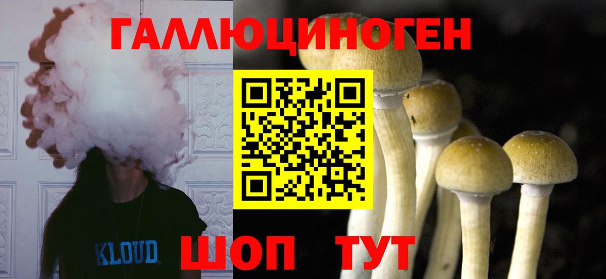 Псилоцибиновые грибы GOLDEN TEACHER  Людиново 