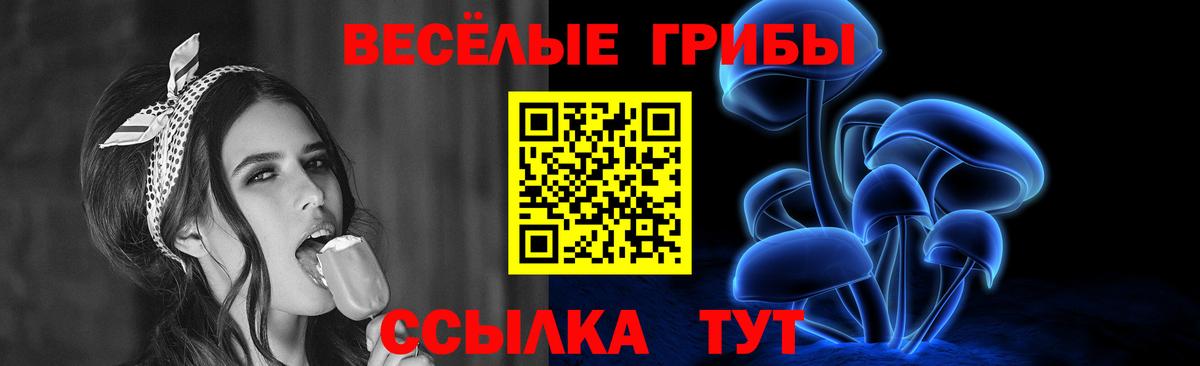 Псилоцибиновые грибы GOLDEN TEACHER Людиново